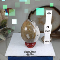 Fossil Rock Egg