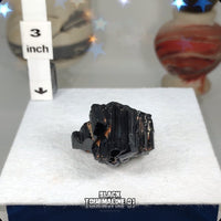 Black Tourmaline Natural Termination