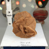 Flower of the Desert Selenite Morocco