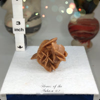 Flower of the Desert Selenite Morocco