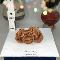 Flower of the Desert Selenite Morocco