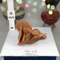 Flower of the Desert Selenite Morocco