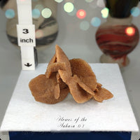 Flower of the Desert Selenite Morocco