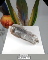 
              Fishtail Selenite
            