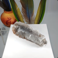 Fishtail Selenite