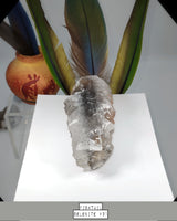 
              Fishtail Selenite
            