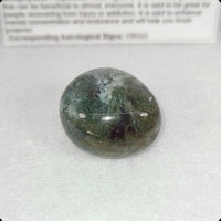 Green Moss Agate Tumbled Stone