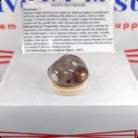 Botswana Eye Agate Tumbled Stone