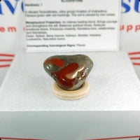 Bloodstone Tumbled Stone