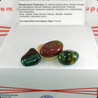 Bloodstone Tumbled Stone