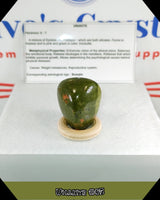 
              Unakite Tumbled Stone
            