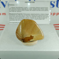 Wildhorse Picture Jasper Tumbled Stone