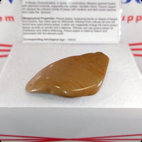 Wildhorse Picture Jasper Tumbled Stone