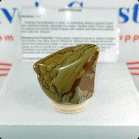 Wildhorse Picture Jasper Tumbled Stone