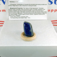 Lapis Lazuli Tumbled Stone