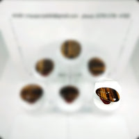 Tiger Eye Carry Stone