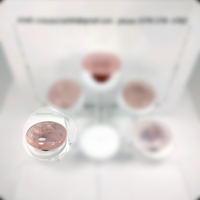 Rose Quartz Carry Stone