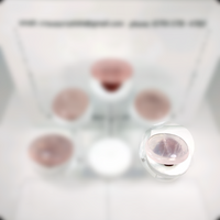 Rose Quartz Carry Stone