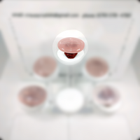 Rose Quartz Carry Stone
