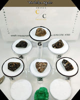 
              Turitella Agate Tumbled Stone Crave's Crystals
            