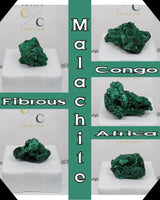 
              Malachite (Fibrous)(Congo)
            