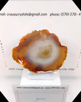 
              Agate slice
            