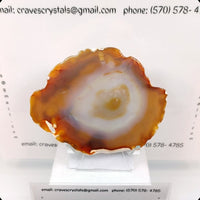 Agate slice