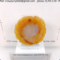 Agate #04:

Beautiful agate slab with quartz center really show case the colors of the outter agate shell. This is a very good value.

96 grams

approx. 3.70 inches by 3.40 inches

