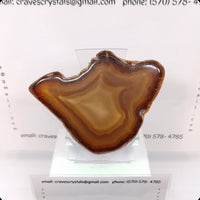 Agate #04:

Beautiful agate slab with quartz center really show case the colors of the outter agate shell. This is a very good value.

96 grams

approx. 3.70 inches by 3.40 inches

