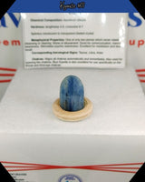 
              Blue Kyanite (E) Tumbled Stick
            