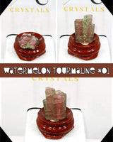 
              Watermelon Tourmaline Termination
            