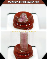 
              Watermelon Tourmaline Termination
            