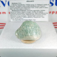 Amazonite (Lg) Type 2 Tumbled Stone