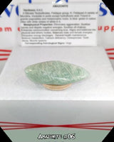 
              Amazonite (Lg) Type 2 Tumbled Stone
            