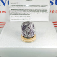 Lepidolite Tumbled Stone