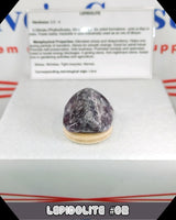 
              Lepidolite Tumbled Stone
            